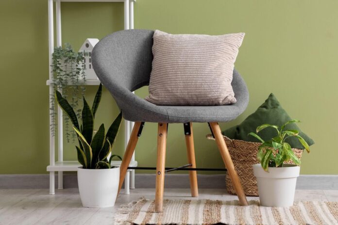 Фотография зелёных, пышных растений, реанимированных с помощью домашнего средства.