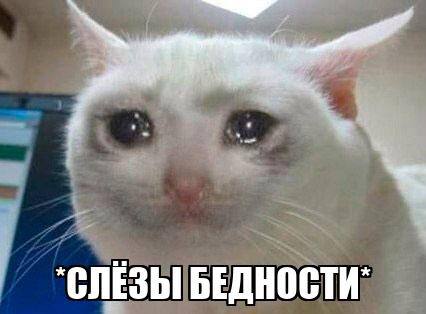 Грустный кошелек и генетика