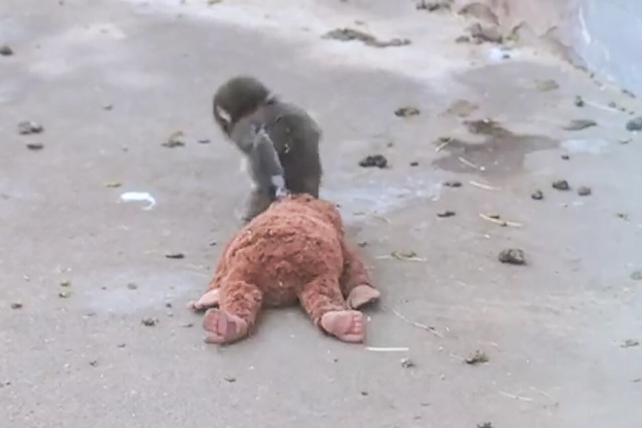 Финальное фото