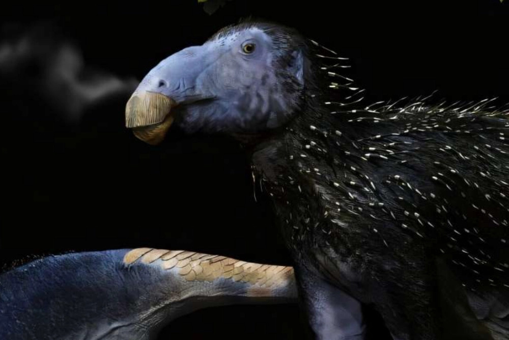 Строение шипов под микроскопом