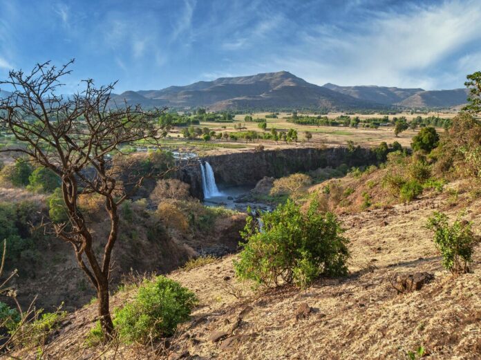 Эфиопский джаз, русские турбины, инвестиции в Африку, энергетика