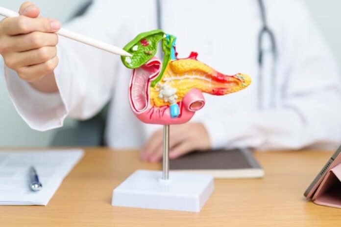 Иллюстрация, показывающая взаимосвязь между желчным пузырем и акупунктурными точками на стопе, символизирующая контроль над здоровьем.