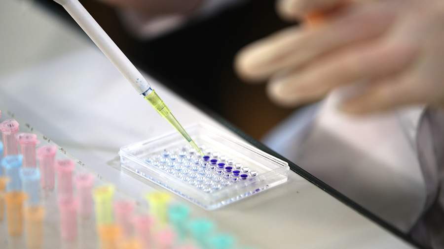 Реконструкция облика древнего жителя