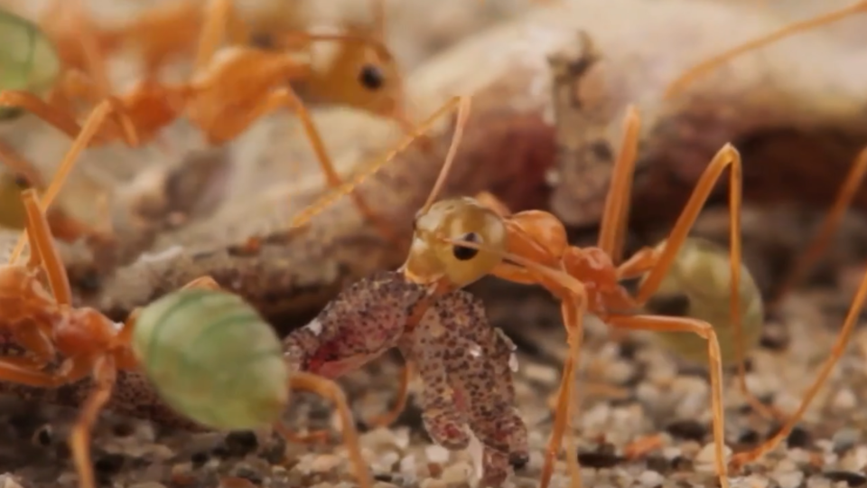 Работа в команде