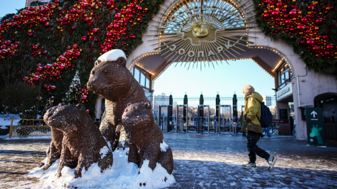 Панды и драконы в Московском зоопарке