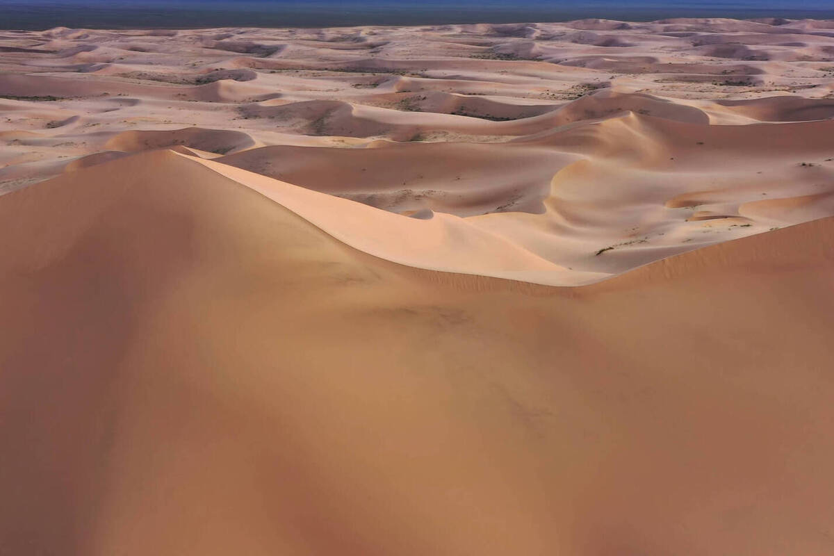 Иллюстрация спинозавра