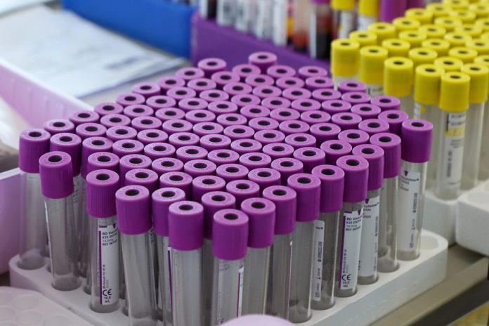 Иллюстрация, символизирующая научные эксперименты с печенью и вилочковой железой для достижения вечной молодости