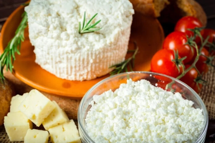 Врач Денисова анализирует тренд на жареный творог, обсуждая его пользу и вред