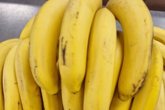 Крупный план связки бананов с необычно свежим, огуречным ароматом, рядом лежит документ, напоминающий паспорт.