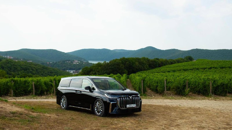 VOYAH Dream и виноградники