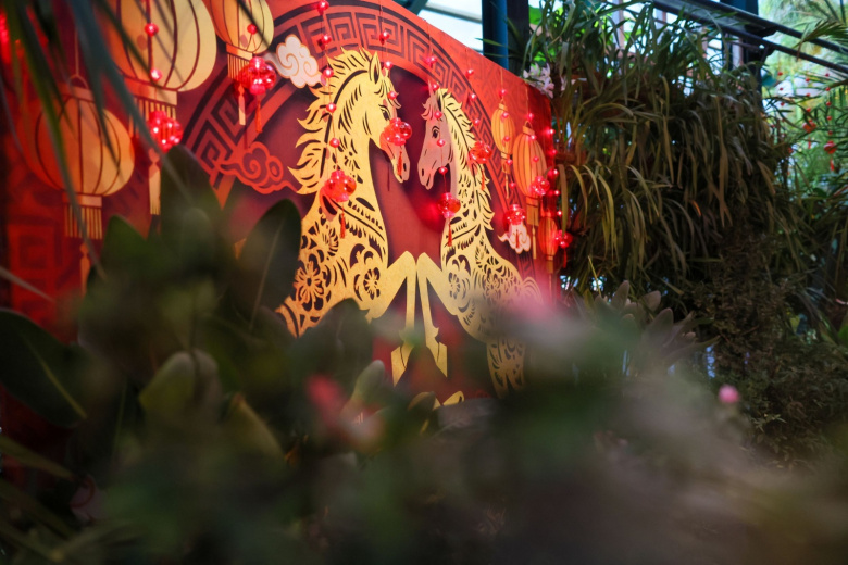 Праздничные фонарики и украшения