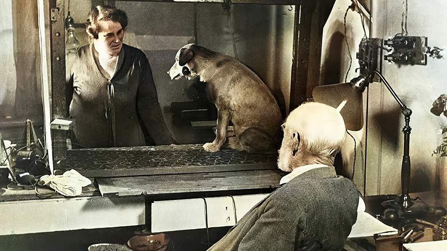 Иван Павлов: кадр из документального фильма