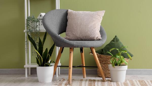 Уход за цветами