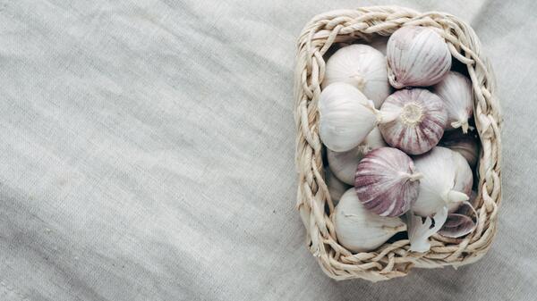 Хранение чеснока