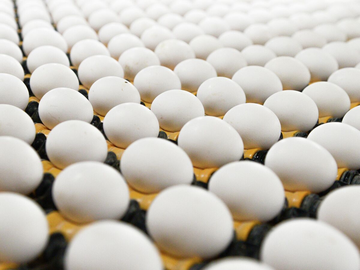 Российское производство яиц