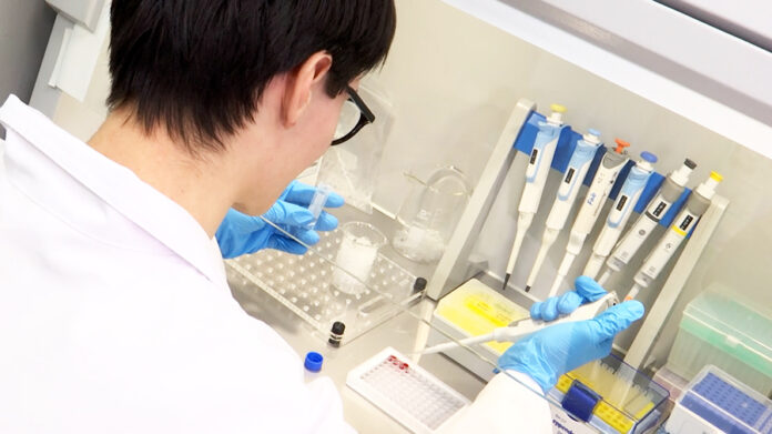 Микроскопическое изображение морской бактерии, атакующей раковые клетки