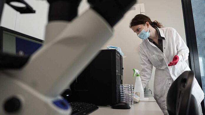 Изображение, иллюстрирующее геологическую структуру под Австралией, напоминающую ее поверхностный двойник, возрастом 1,5 миллиарда лет.