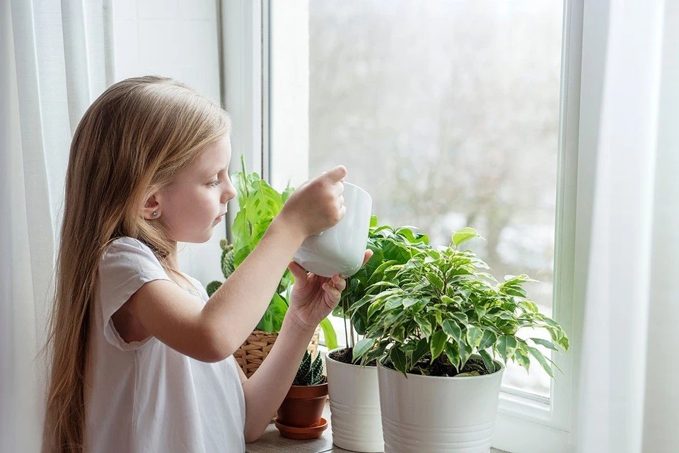 Зеленый уют в квартире