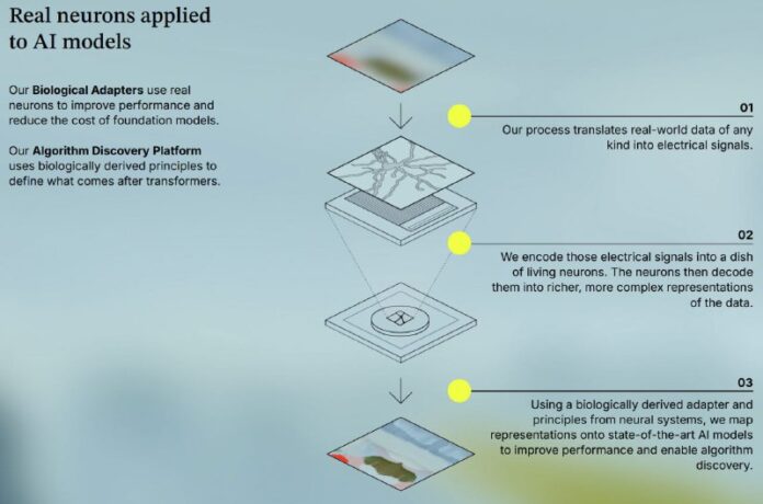 Живые нейроны, подключенные к компьютеру, играют в Minecraft, побеждая ИИ.