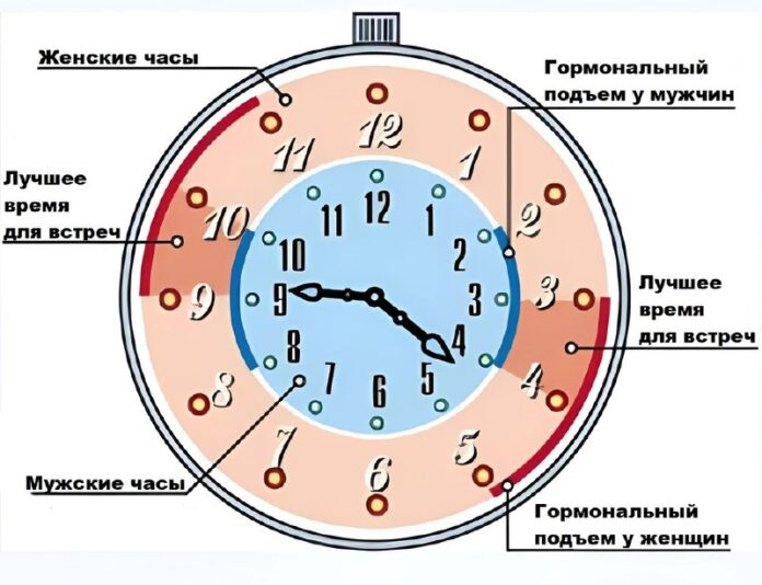 Пара, обнимающаяся в постели ранним утром, освещенная мягким солнечным светом, символизирующая пик биоритмической синхронизации для романтических отношений.