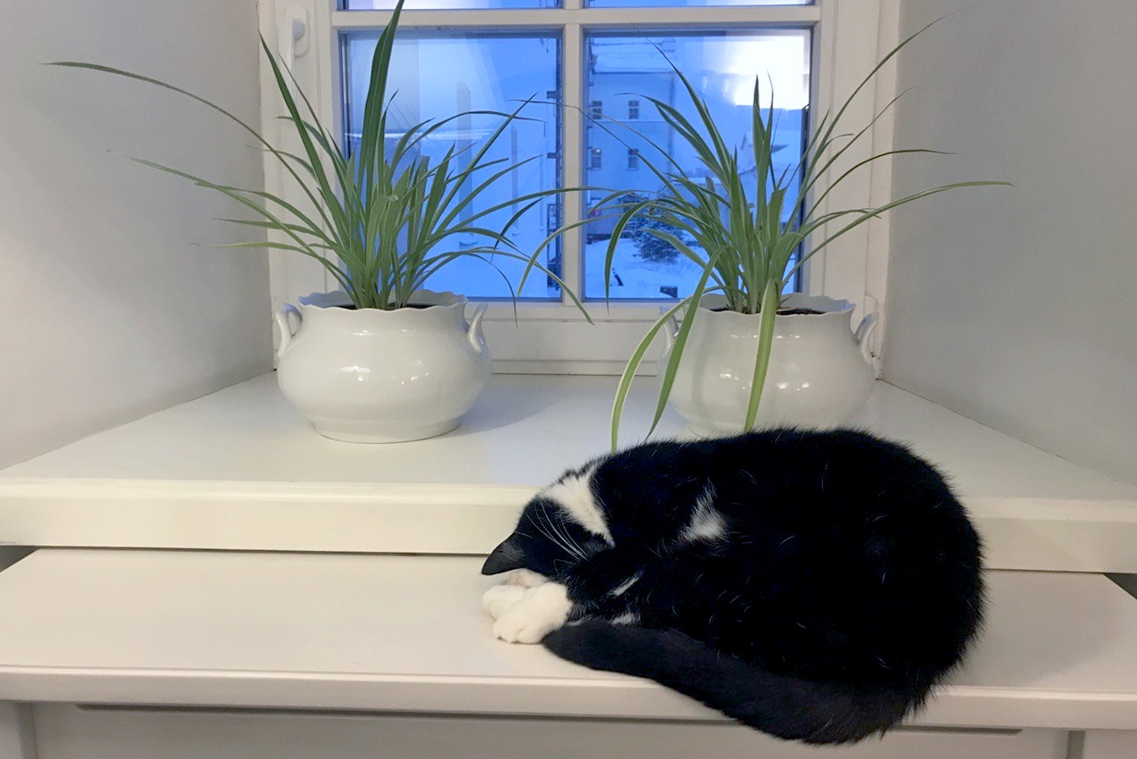 Монастырские постройки