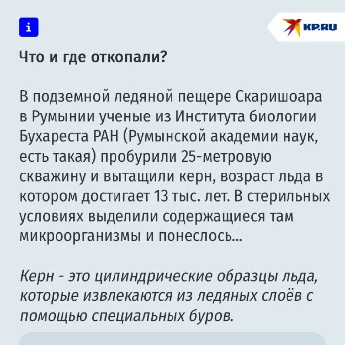 Иллюстрация спящей красавицы, держащей диплом химика, рядом с изображением бактерии в стиле хипстер, намекающей на древнее происхождение и научные открытия.