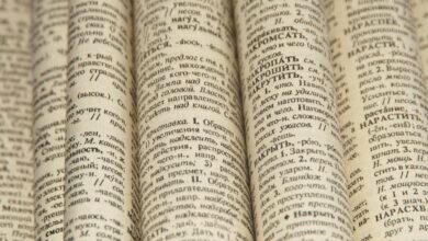 Иллюстрация, исследующая происхождение слова 'белиберда' в русском языке.