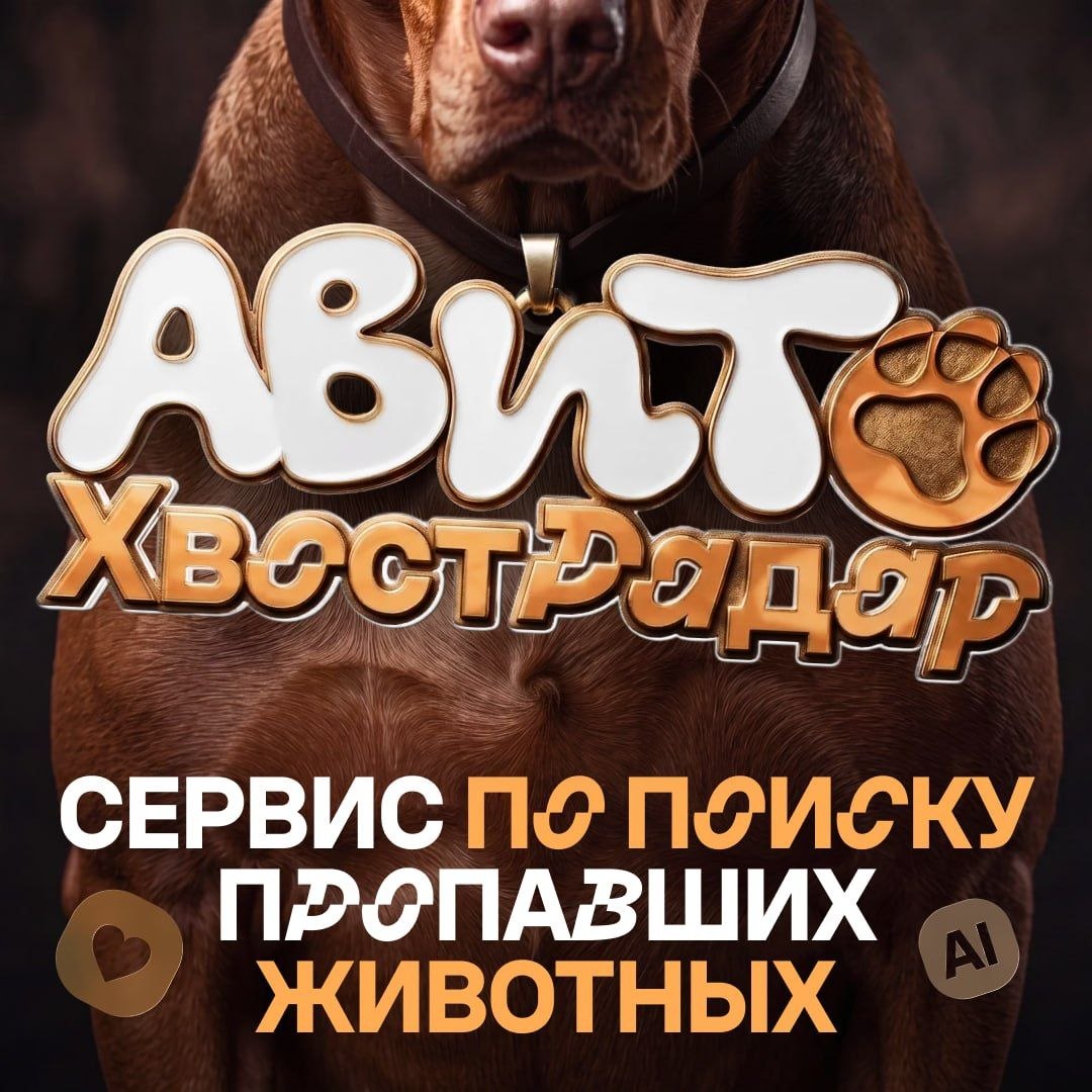 Умный радар с нейросетевыми технологиями помогает находить домашних животных
