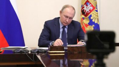 Искусственный интеллект и березы в гармонии