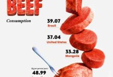 Изображение стейка на тарелке с гарниром