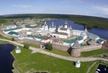 Тайная жизнь старовозрастных лесов Русского Севера с изображением грибов