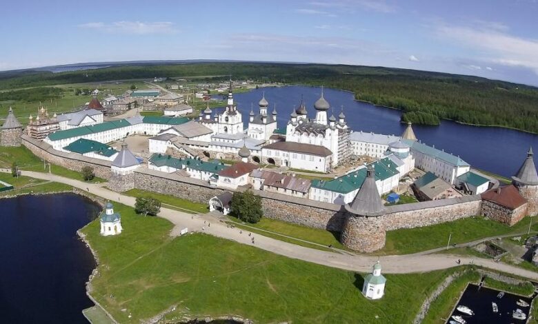 Тайная жизнь старовозрастных лесов Русского Севера с изображением грибов