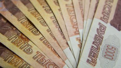 Работодатель и особенные сотрудники в уютном офисе