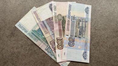 Куряне получают удочки в рамках государственной программы, символизирующей поддержку в трудные времена.