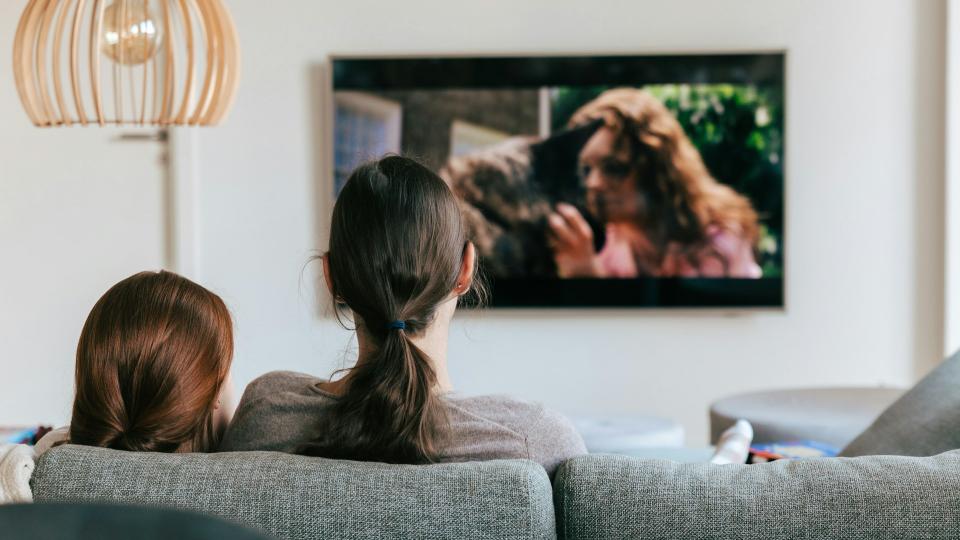 Люди смотрят сериалы в домашних кинотеатрах