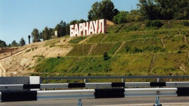Изображение Барнаульской Ривьеры с элементами тропического дизайна и природой Сибири