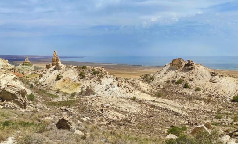 Средневековый город на дне обмелевшего Аральского моря, с дамбой и без стен.