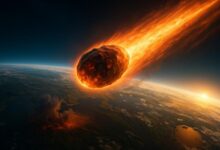 Камень с Марса, раскрывающий тайны Вселенной