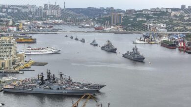 Слон на льдине, символизирующий сотрудничество Индии и России в Дальнем Востоке