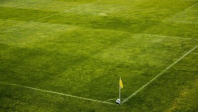 Футболистки команды Москвы празднуют победу с золотым кубком на газоне