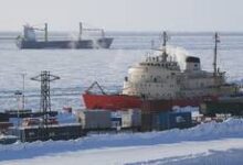 Драконы в ушанках на фоне Северного морского пути