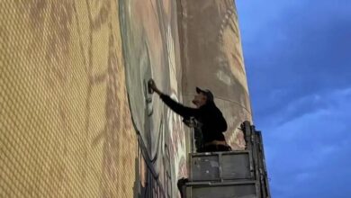 Обычная стена, превращающаяся в портал к прекрасному