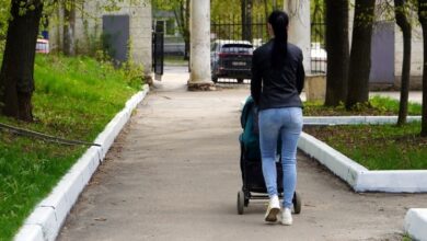 Аисты с чемоданами, символизирующие возвращение к созданию семьи и рост рождаемости