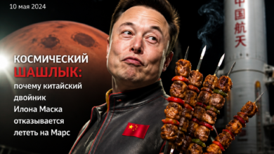 Космический шашлык с образом китайского двойника Илона Маска