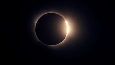 Иллюстрация, показывающая мозг в контексте космического пространства и исчезающего солнца
