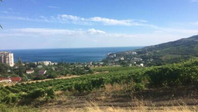 Иллюзионист на велосипеде во время путешествия от Пхукета до Крыма