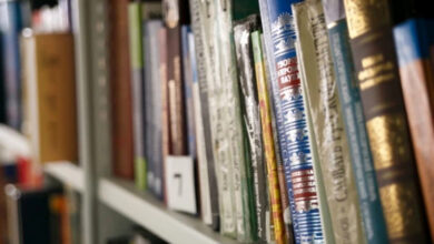 Изображение, иллюстрирующее открытие порталов в другие миры в астраханских многофункциональных центрах