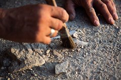 Изображение, иллюстрирующее викингов и моду Древней Руси, с элементами, найденными в Окском парке