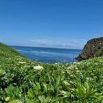 Изображение о двух безымянных островах Курильской цепи с новыми именами