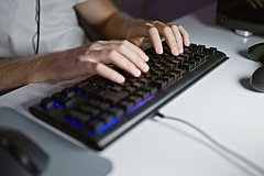 Сурки из Колорадо на платформе OnlyFans, символизирующие поддержку науки